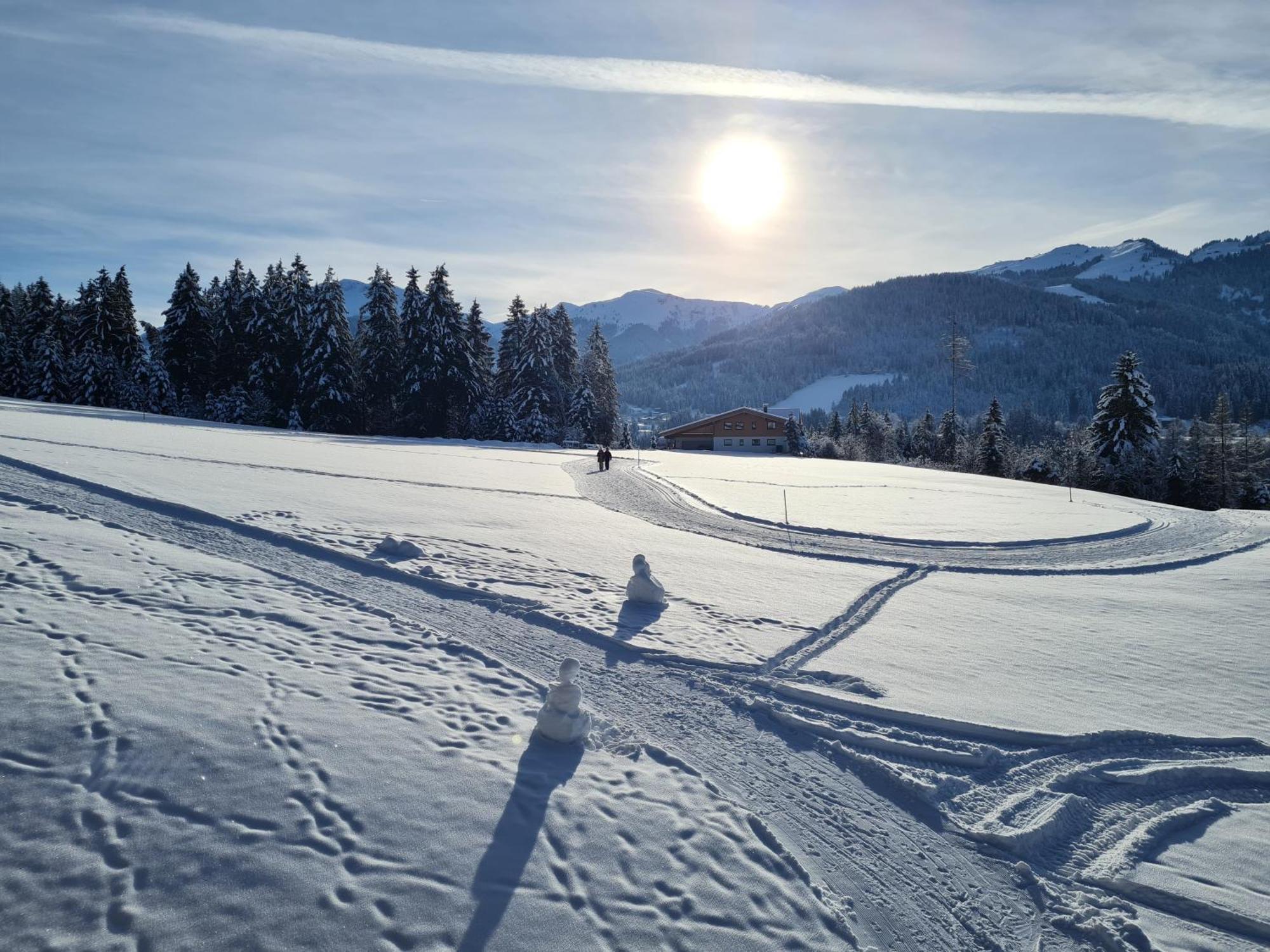 Auszeit Apartments Oberau Luaran gambar