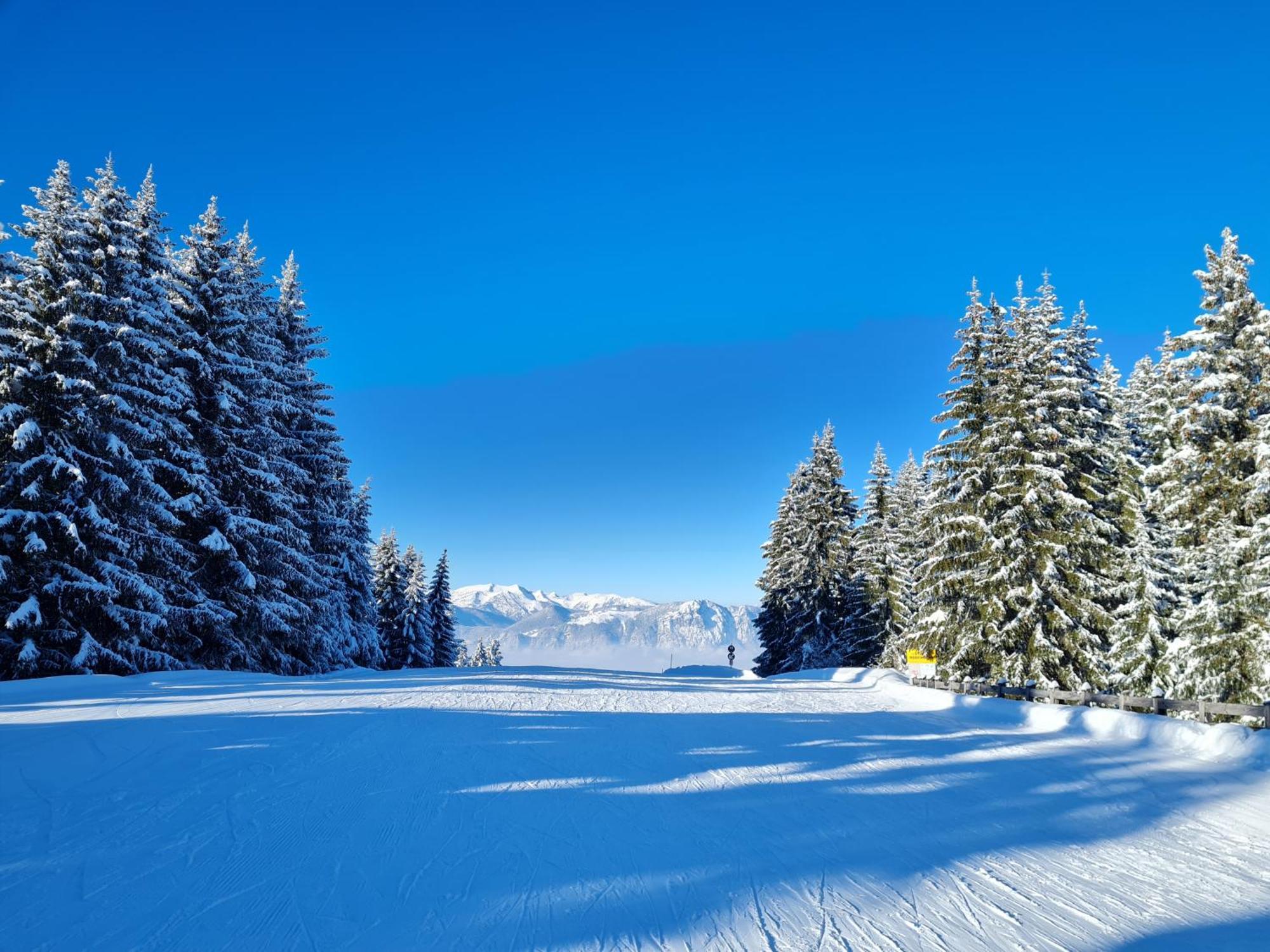 Auszeit Apartments Oberau Luaran gambar